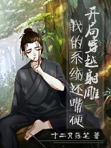 穿越射雕飞卢