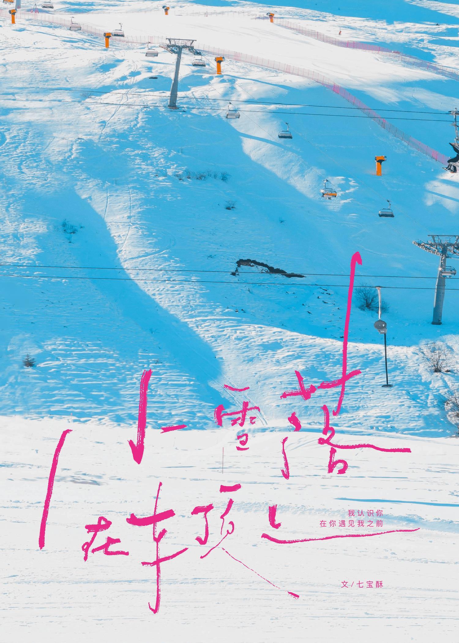 雪落到汽车上