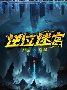 逆位迷宫TXT免费全文