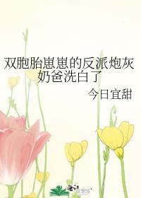 双胞胎崽崽的反派炮灰奶爸洗白了格格党