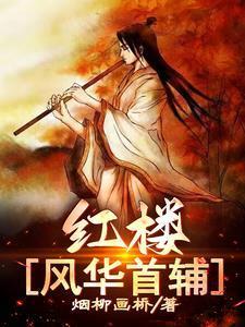 红楼风华首辅女主有几个