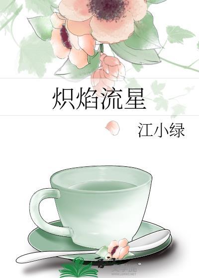 炽焰流星笔趣阁免费阅读