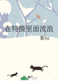 在特摄里面流浪 薯su