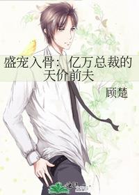 盛宠入骨亿万总裁的天价前夫百度