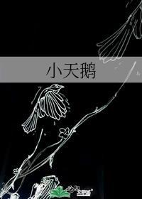小天鹅滚筒洗衣机的操作流程
