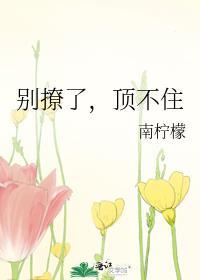 别撩了什么意思
