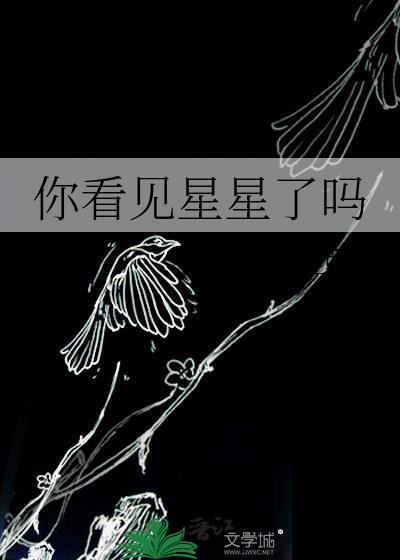 你看见星星了吗晋江
