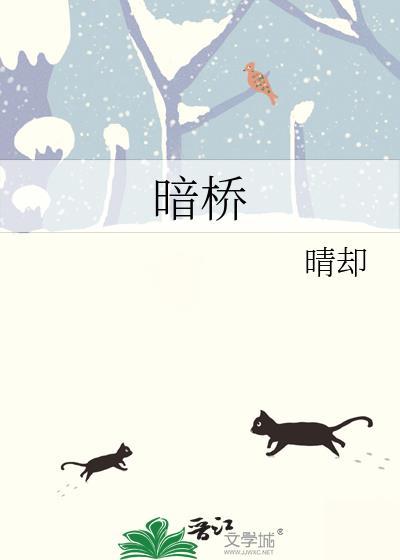 暗桥曲终