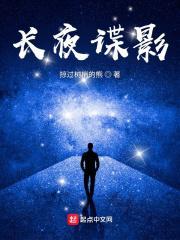 长夜谍影原名