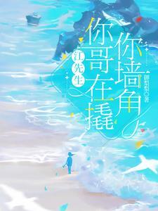 江先生你好