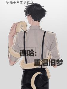 德哈重温旧梦TXT百度