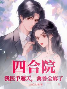 四合院我医手遮天