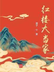 红楼大当家免费阅读百度