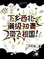 知青下乡片