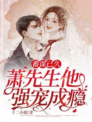 萧先生诱妻入怀免费阅读