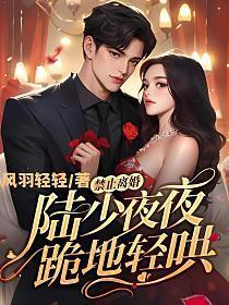 禁止离婚!陆少夜夜跪地轻哄应该是这个