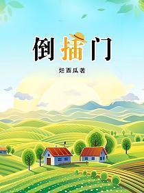 倒插门田冲是什么电视剧