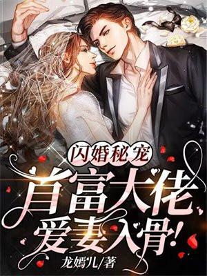 闪婚首富宠妻忙免费阅读