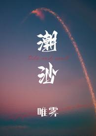 潮沙(1v1)-唯雾-精品其他-新御书屋手机阅读