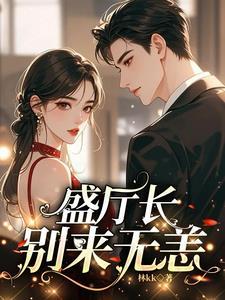 盛厅长别来无恙txt