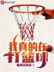 我真的在打篮球百科