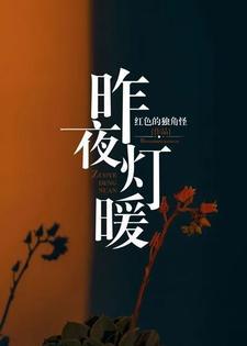 昨夜灯暖短剧免费观看