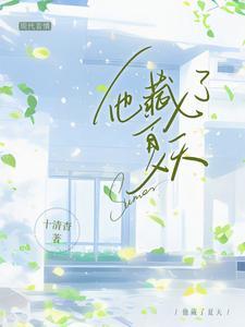 他藏了夏天作者