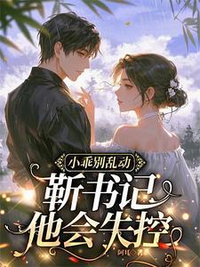 宋薇澜靳毅分手后我与官场大佬开启菜鸡情缘