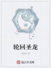 轮回圣龙txt