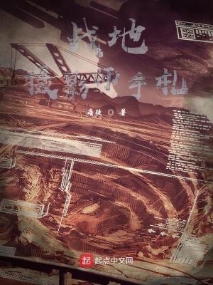 战地摄影师手札大结局