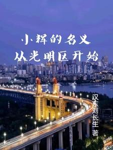 小辉全部
