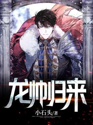 龙帅归来龙天云叶青竹