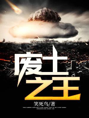 废土之王最新版汉化版