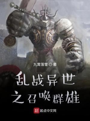 乱战异世之召唤群雄 第378章