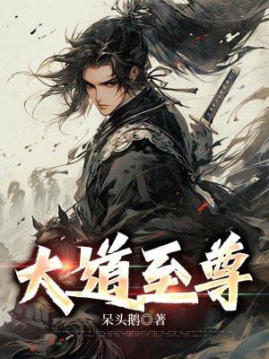 大道至尊 孤峰暖月