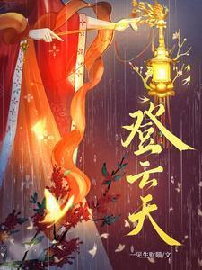 登云天TXT