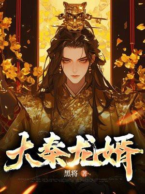 大秦龙辅