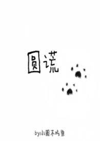 圆谎歌词侧田