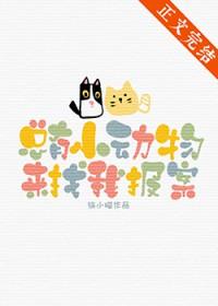 总有小动物来找我报案云盘