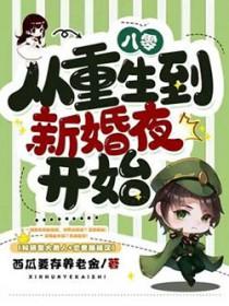 重生八零回到新婚之夜