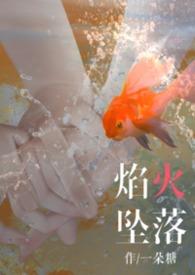 焰火坠落之前全集