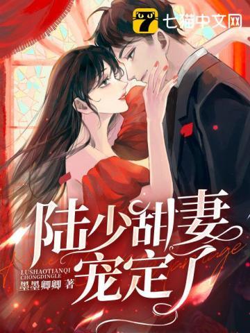 陆少宠妻天下第一免费阅读