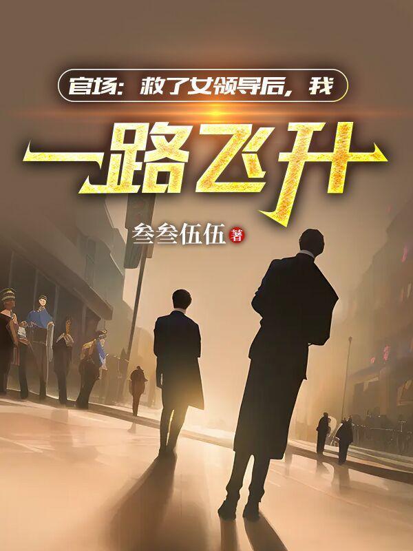 官场救了女领导后我一路高升
