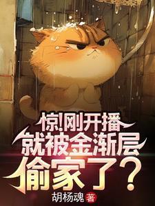 10万买金渐层被坑猫主人