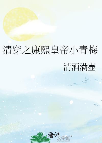 清穿之康熙心尖宠免费阅读