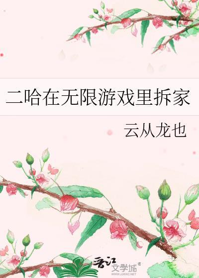 二哈谈游戏