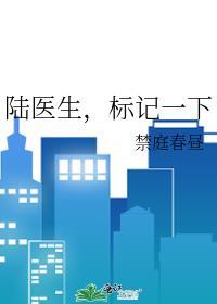 陆医生的