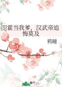 汉武帝卫夫人简介