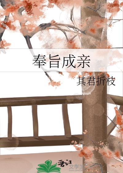 奉旨成亲 其君折枝好看吗
