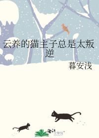 云养猫走红的原因和背景